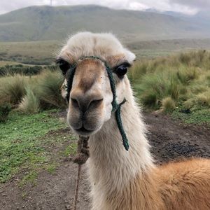 Meet your Posher, Erin